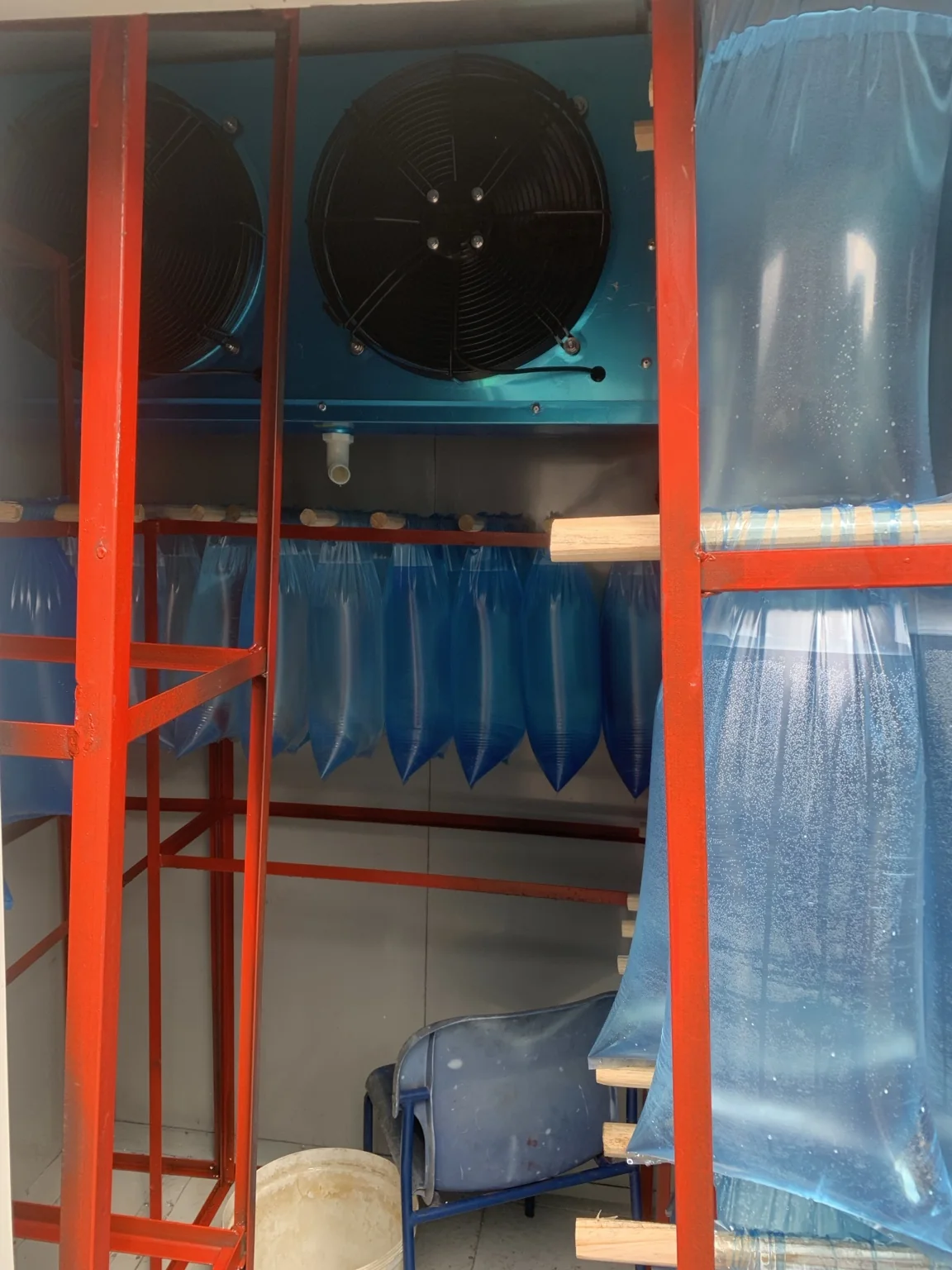 Palmerstone cold room interior